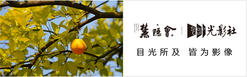 sq_photo_01.png
